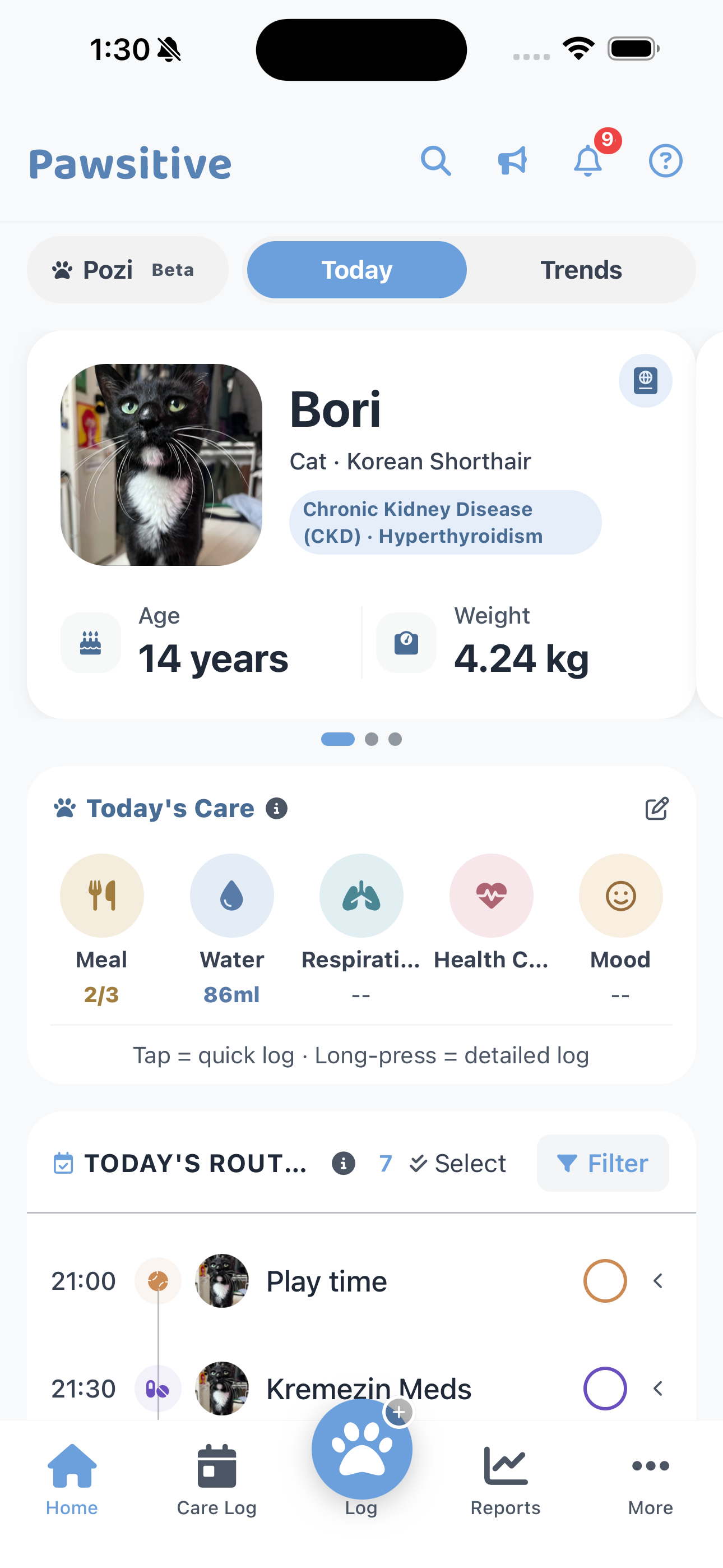 Pawsitive Dashboard