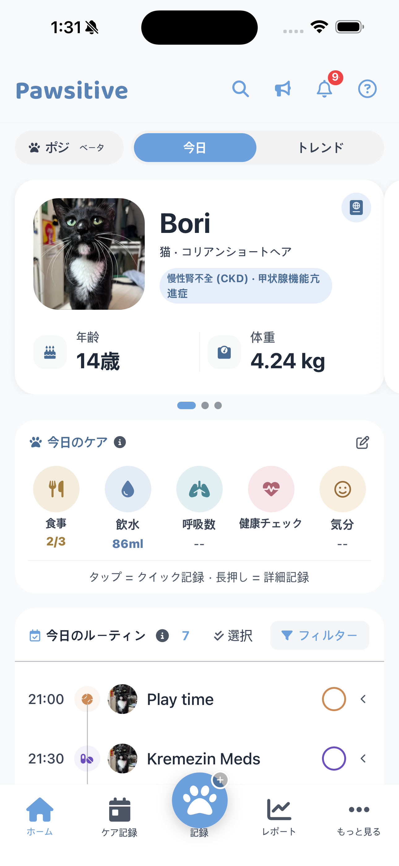 Pawsitive Dashboard